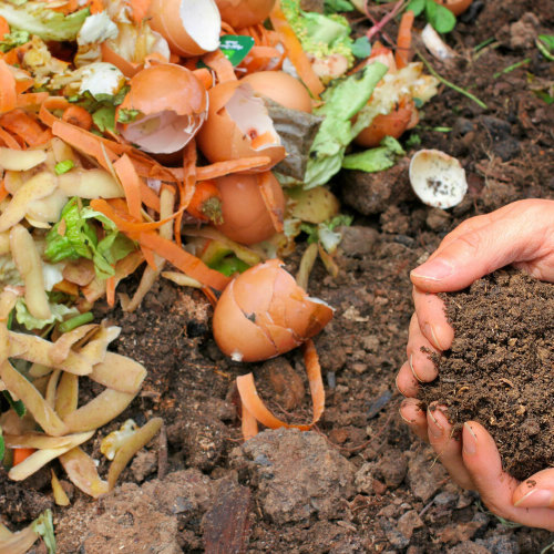 ATELIER ECOLO #1  - LE COMPOST ON A TOUS A Y GAGNER ! 