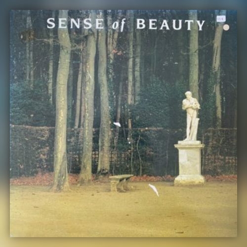 Sense Of Beauty - The Experience Of Swimming