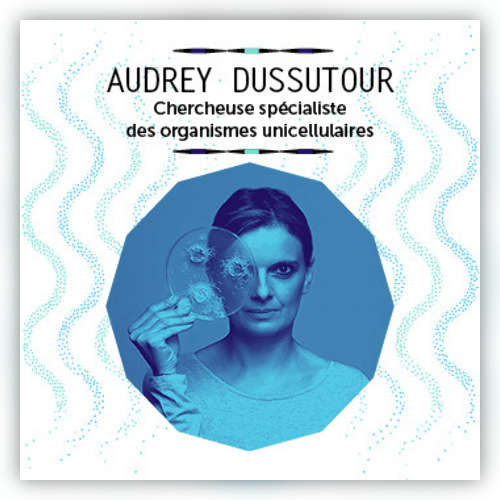 SIMPLE CONFÉRENCE en live streaming - Audrey Dussutour - Cie Lanicolacheur