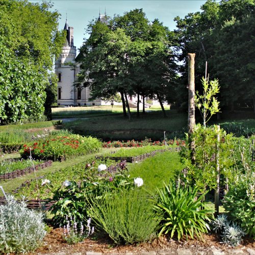 Parc et jardin du château de La Baronnière