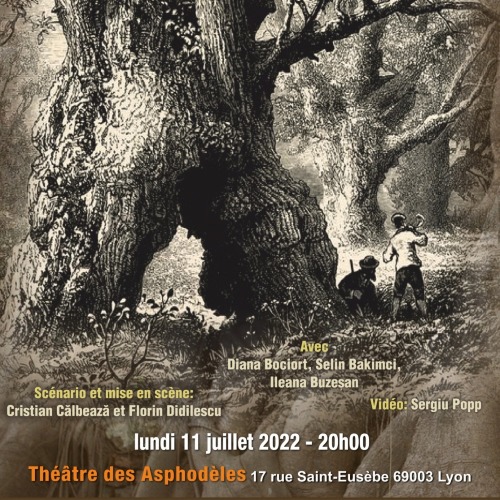 "Si un arbre tombe"  Création d'après L’homme qui plantait des arbres de Jean Giono.