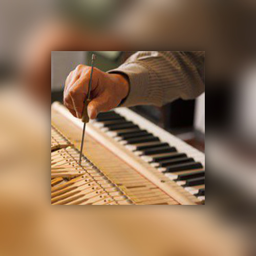 VISITE ATELIER FACTEUR DE PIANO AUTOUR D'ANATOMIA